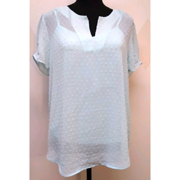 DR2 powder blue Swiss dot sheer top & inner cami - Picture 1 of 8